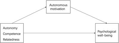 The Contribution of Basic Psychological Need Satisfaction to Psychological Well-Being via Autonomous Motivation Among Older Adults: A Cross-Cultural Study in China and France